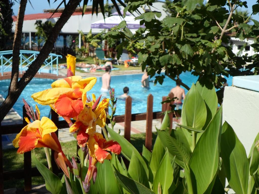 Anatoli Apartments Hersonissos  Bagian luar foto